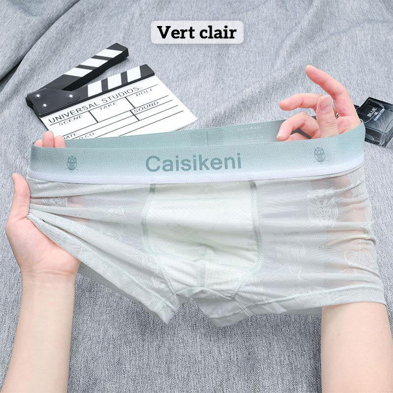 🎁Купете 1, вземете 2 безплатно🎁 Мъжки охлаждащи, дишащи боксерки с еластичен колан