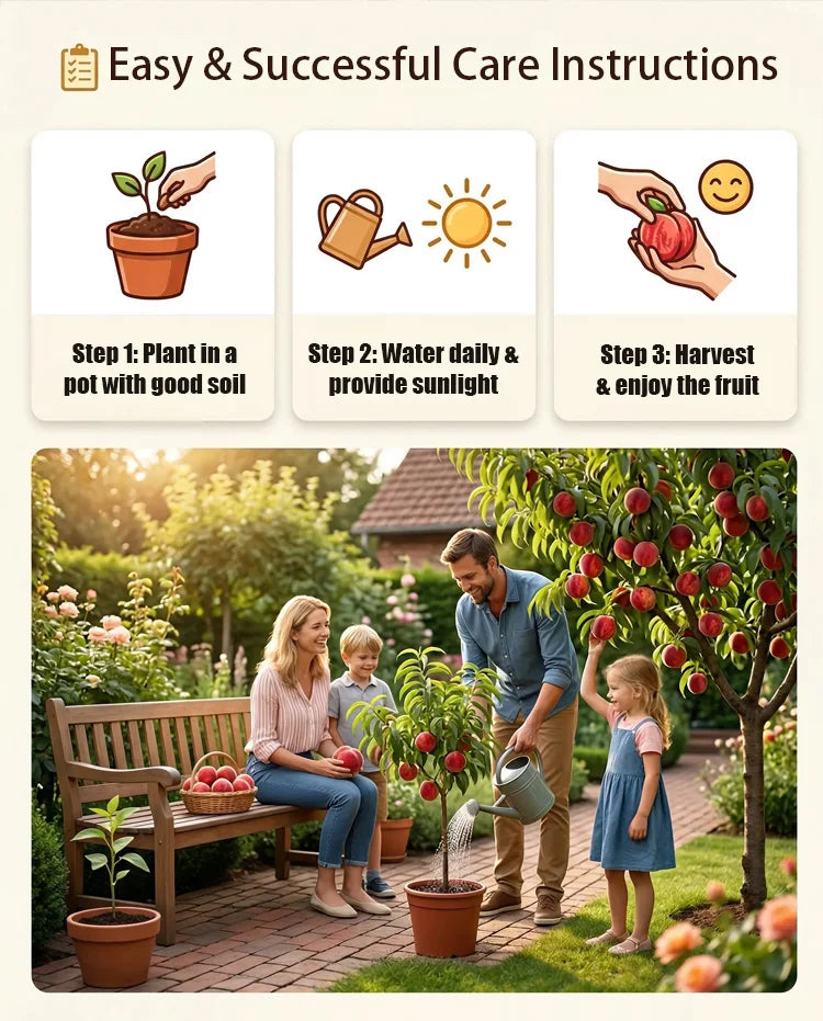 🍑Bardzo słodkie i soczyste pestki brzoskwini