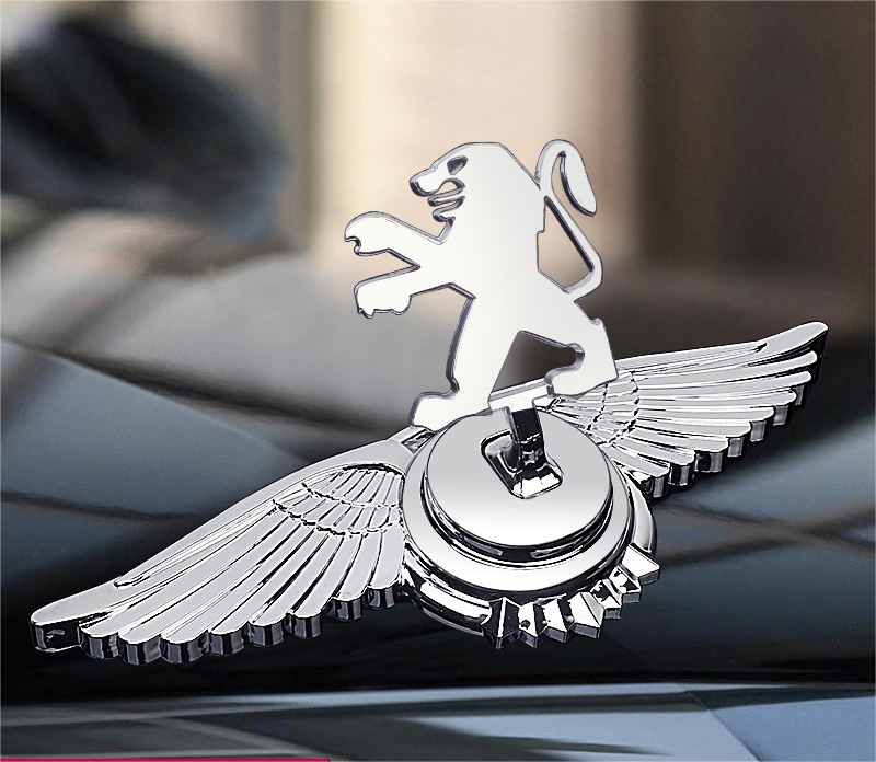 Logo na pokrovu za dekoracijo modifikacije avtomobila