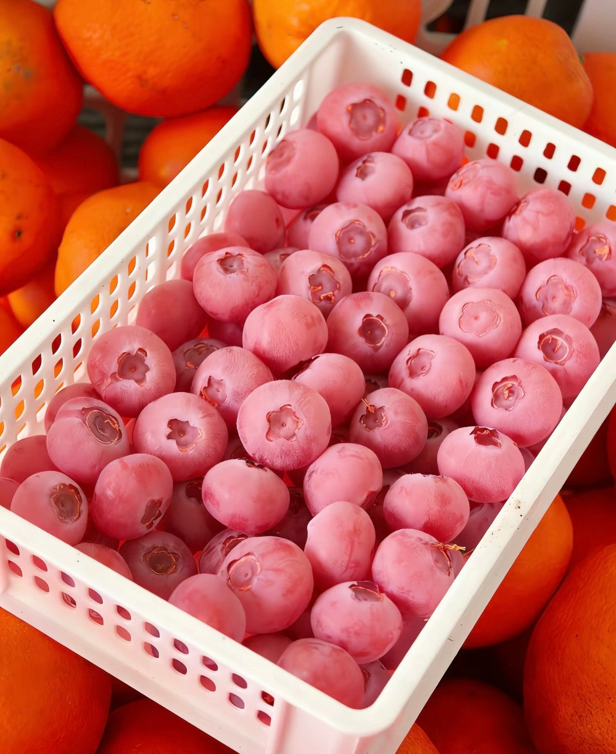 Nasiona borówki Pink Bliss – podwójna słodycz