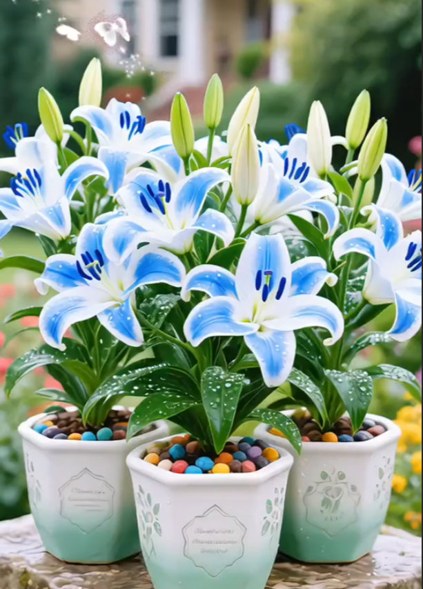 🌺Ароматизирани луковици на лилии – свежи и сладки