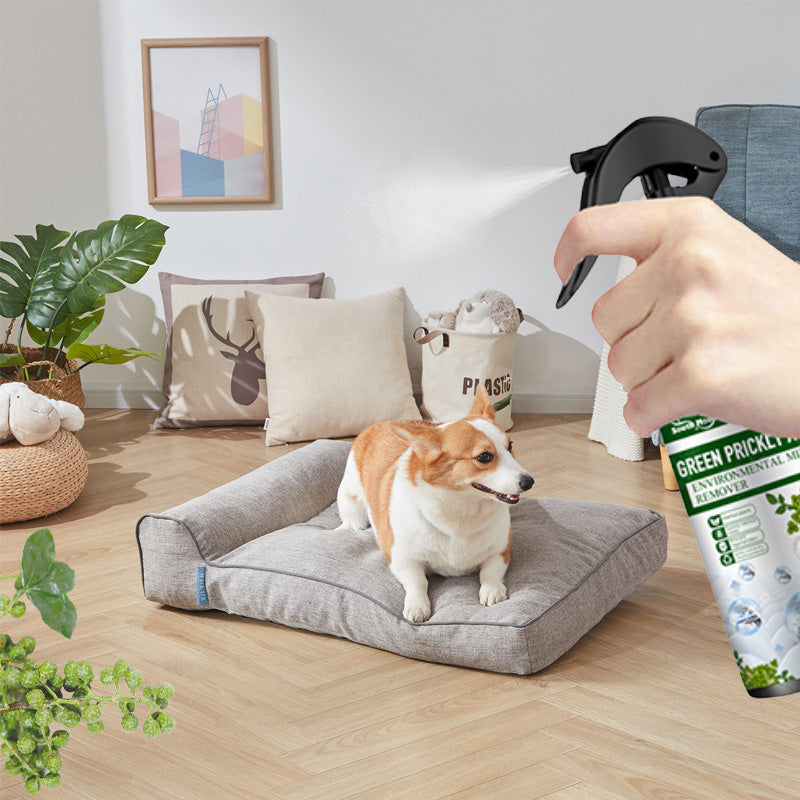 ⚡Ограничена разпродажба Купете 2, вземете 1 безплатно⚡-🧑‍⚕️Силен спрей за премахване на акари