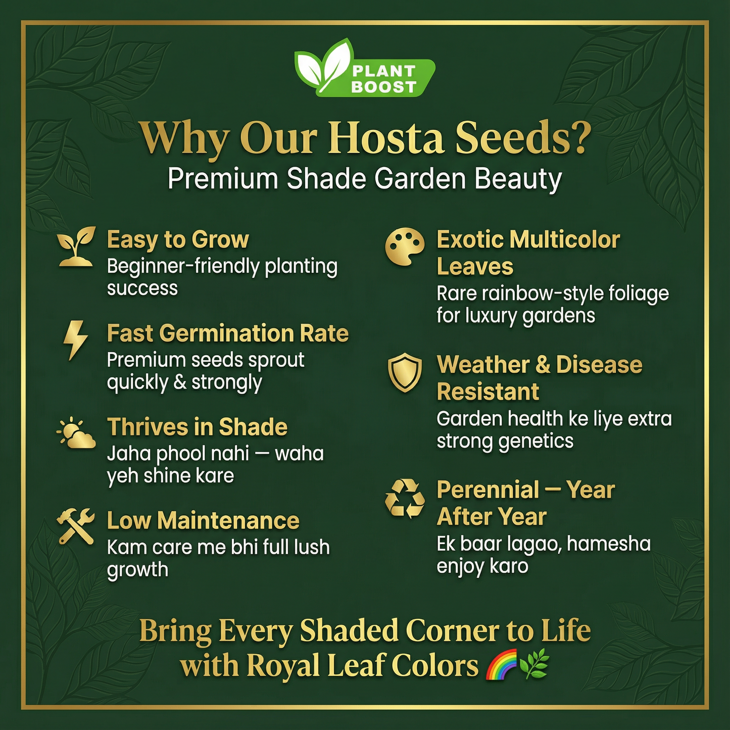 Семена за гости от Royal Leaf