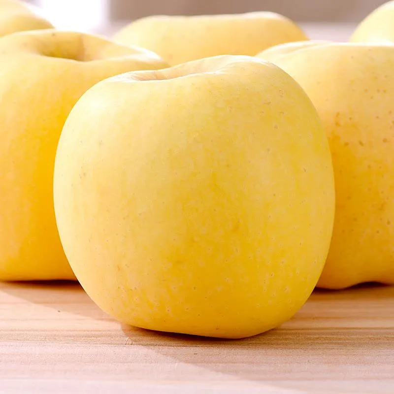 Златни ябълкови семена, 90% процент на оцеляване