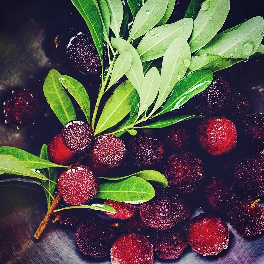 Гигантска бейбери: С размер на топка за пинг-понг, ⭐Вкус на комбинация от ягода и череша