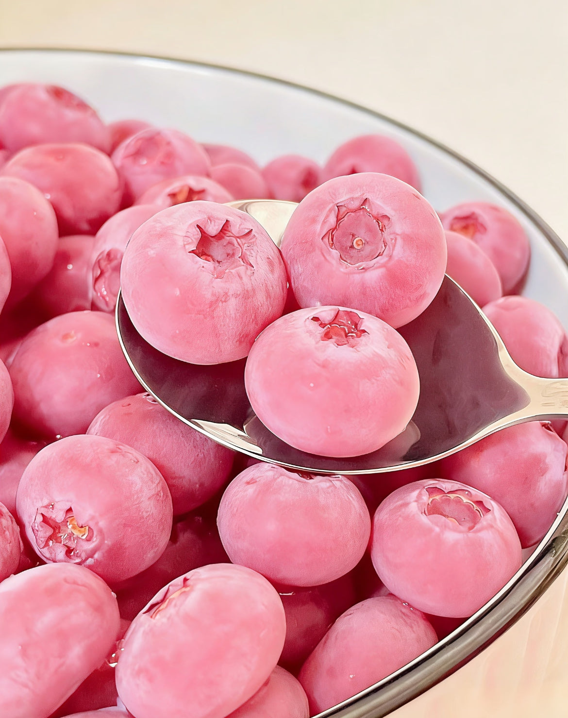 Nasiona borówki Pink Bliss – podwójna słodycz