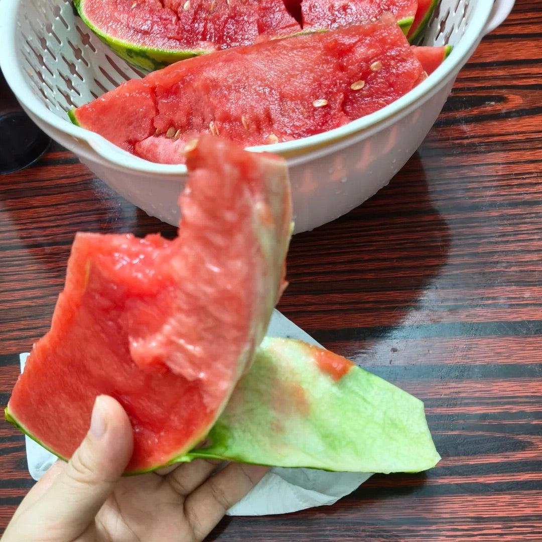 Тънкокорени семки от диня 🍉