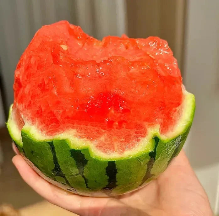 🍉Wczesnowiosenny Czerwony Jadeit – słodki arbuz, który zachwyci całą rodzinę