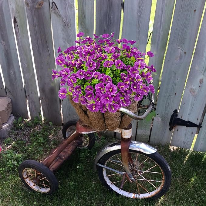 💥Подобрен материал с най-високо качество 🌸Устойчива на UV лъчи и неизбеляваща поветица (без саксия)