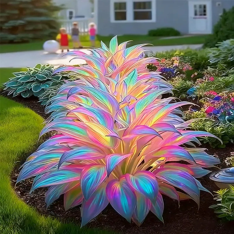 Semena rastline Rainbow Haze