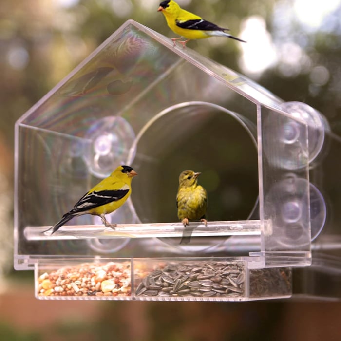 🐦👍👍👍Хранилка за птици за прозорец🤩