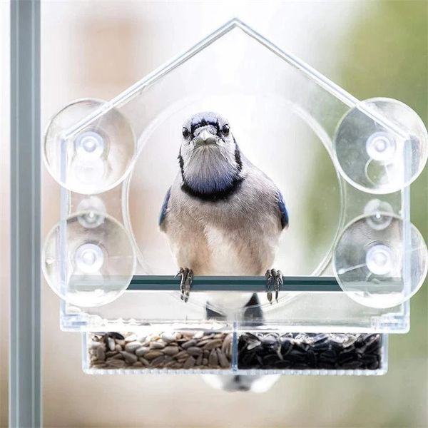🐦👍👍👍Хранилка за птици за прозорец🤩