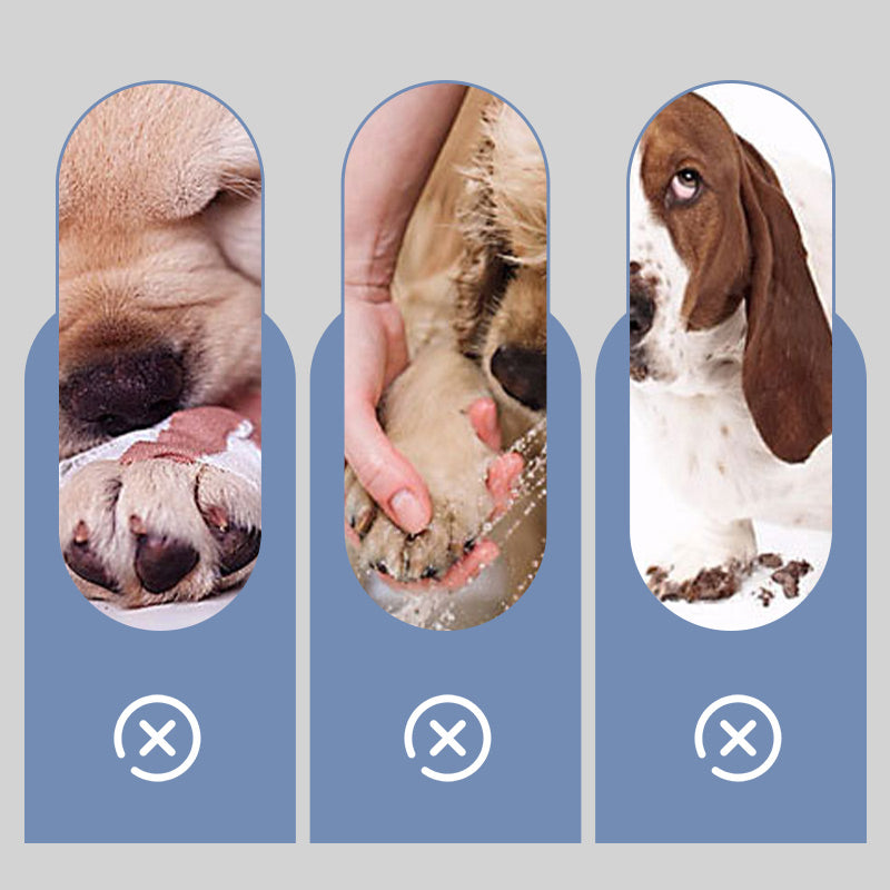 🐶2 чифта непромокаеми чорапи за кучета с неплъзгащи се елементи