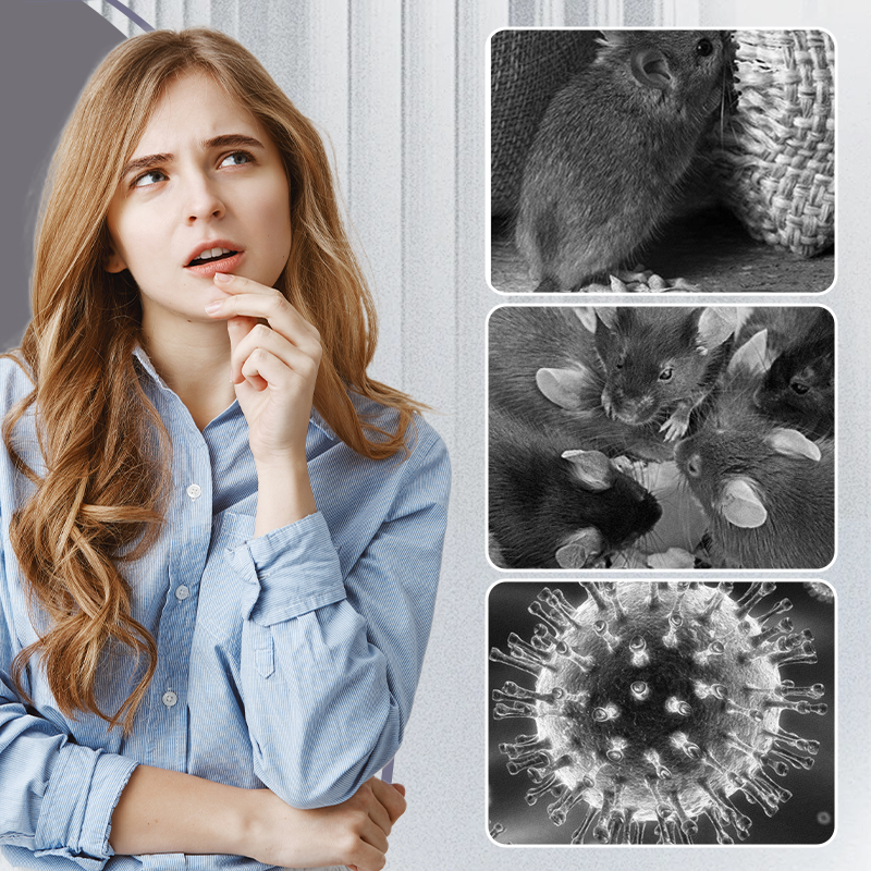 Изключително големи лепилни капани за плъхове